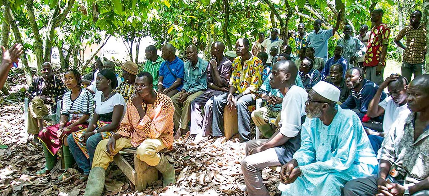 Training farmers for sustainable cocoa production