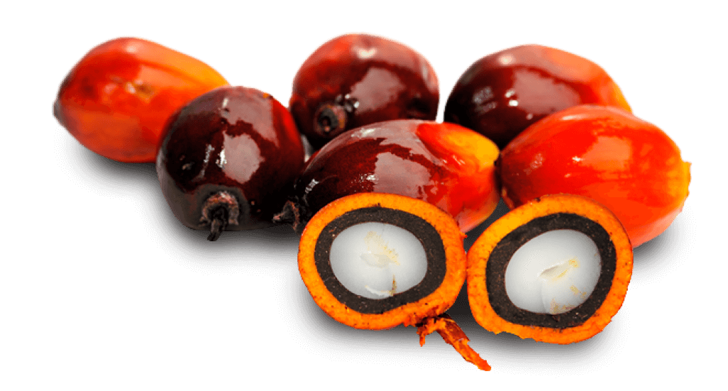 Palm Oil